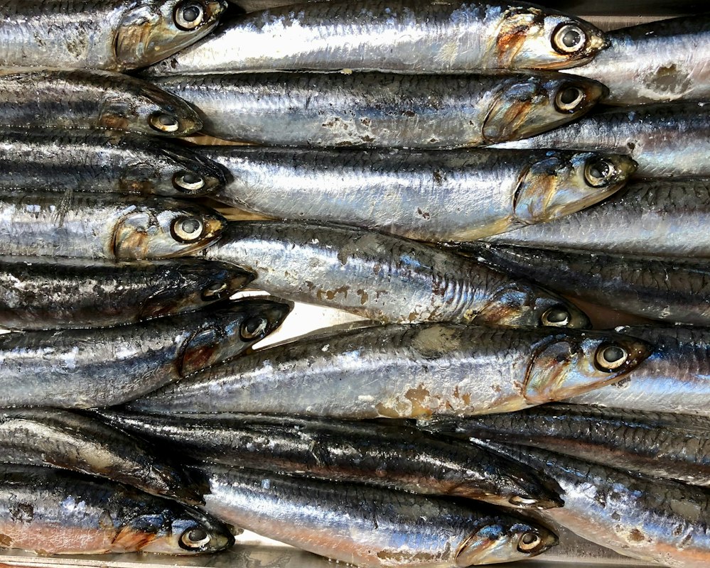 Omega-3 Molekülstruktur