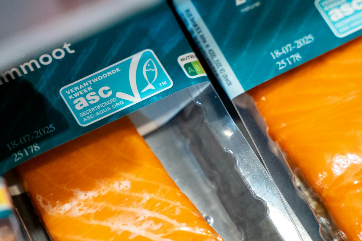 Nachhaltige Fischerei